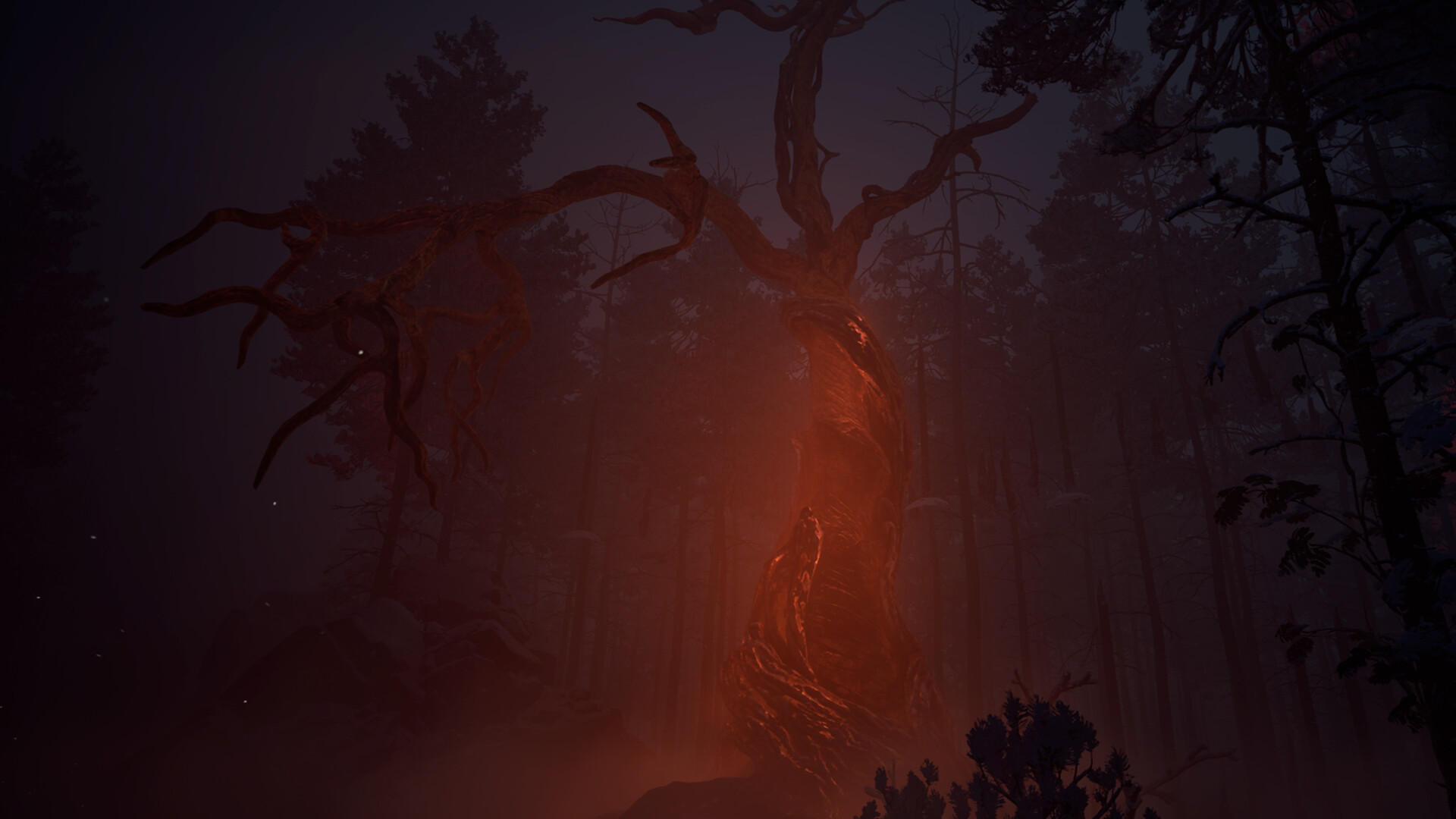 Canary screenshot 4