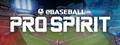 eBaseball™: PRO SPIRIT