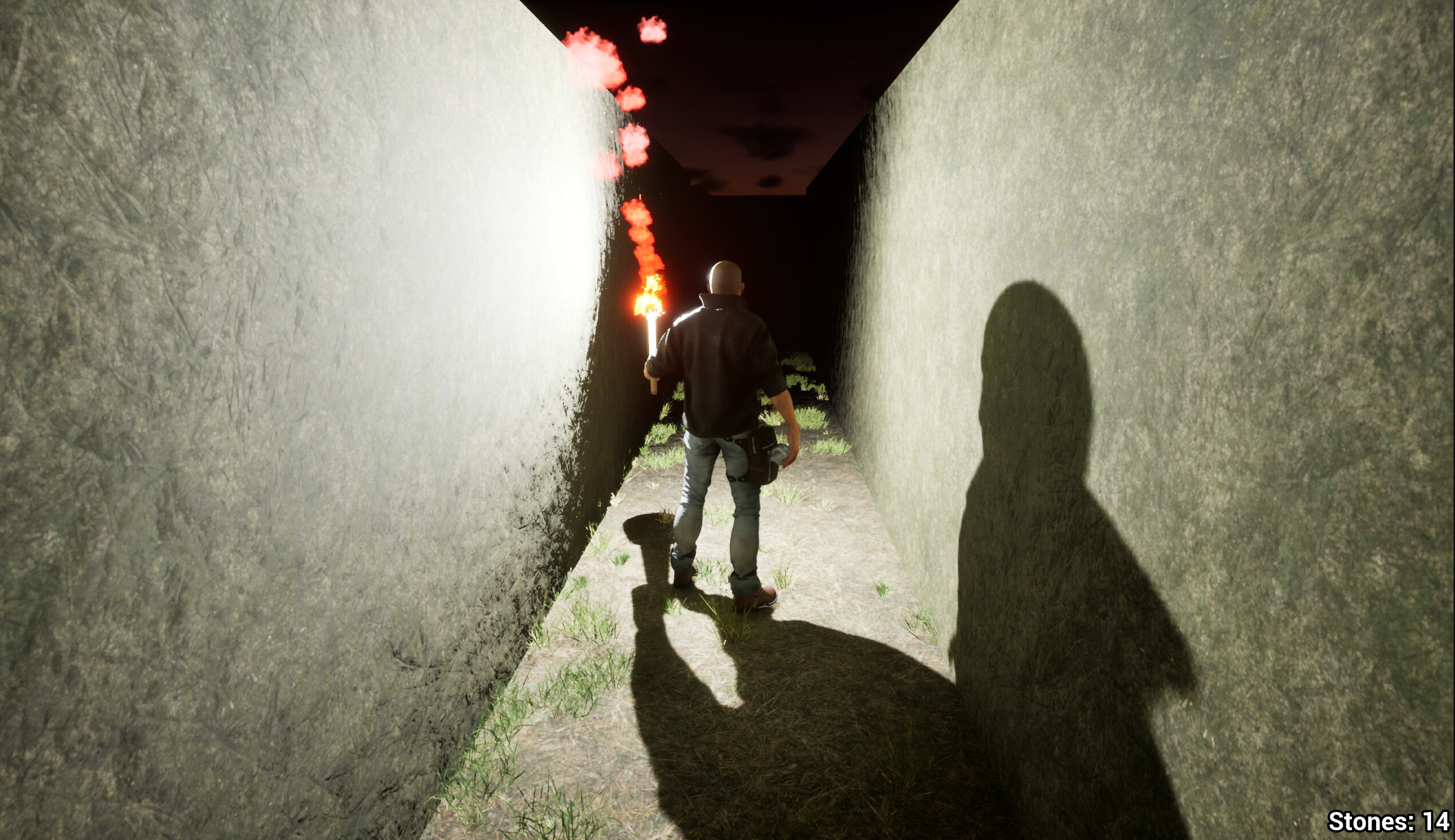 Escape The Labyrinth screenshot 5