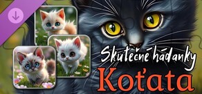 Real Kitten Puzzles (obrázky)