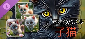 リアル子猫パズル（画像）