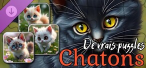 Real Kitten Puzzles (images)