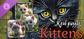 Real Kitten Puzzles (images)