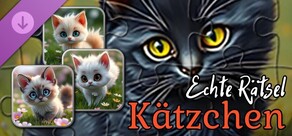 Echte Kätzchen-Puzzles (Bilder)