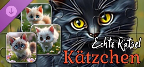 Echte Kätzchen-Puzzles (Bilder)