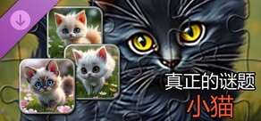 真实小猫拼图（图片）