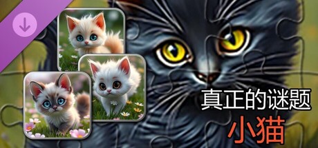 真实小猫拼图（图片）