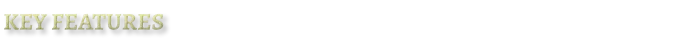 Key features