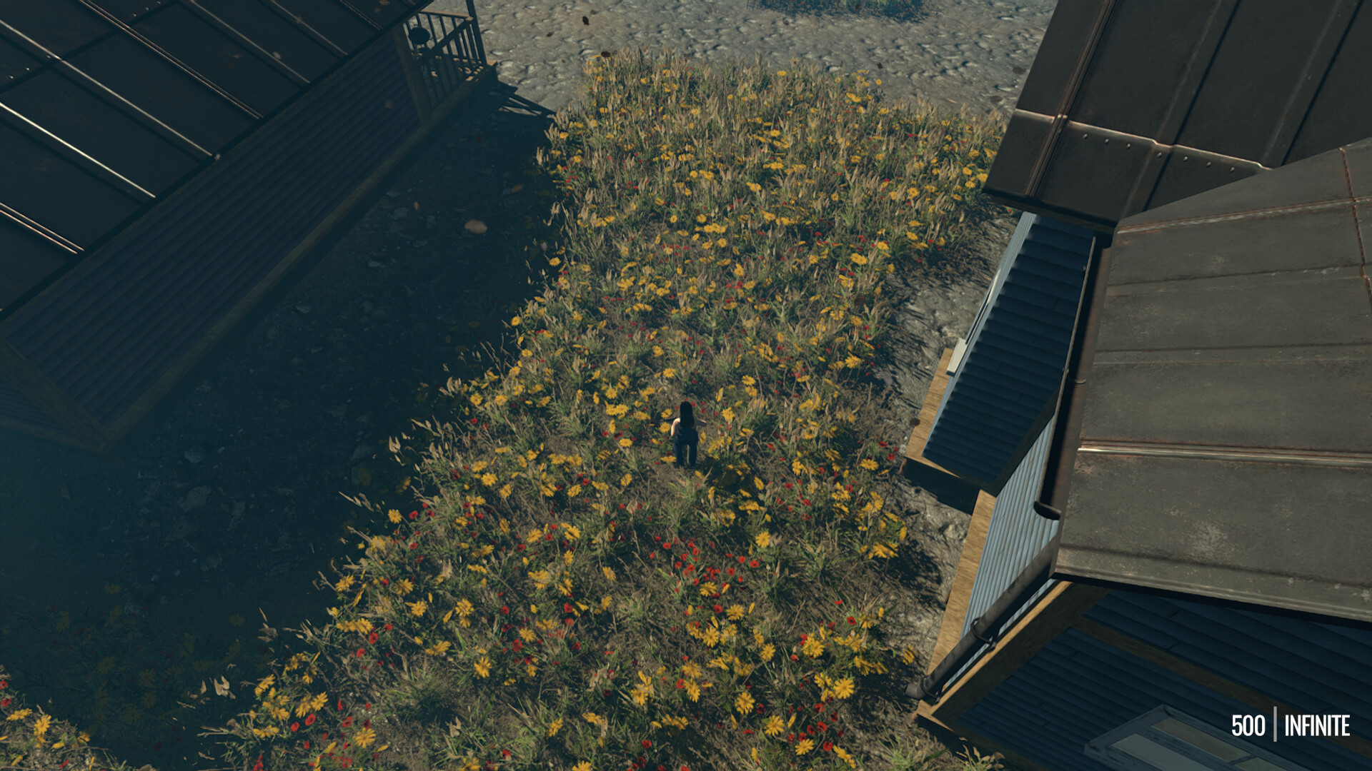 DISTANT VISITANT screenshot 2