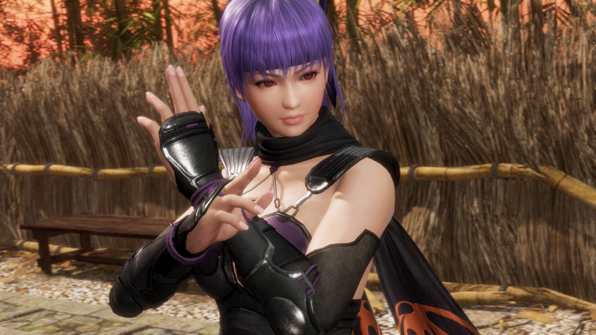 《死或生6：最后一战 DEAD OR ALIVE 6 Last Round》v1.00a-全DLC免安装中文版丨中文版网盘下载-次元share