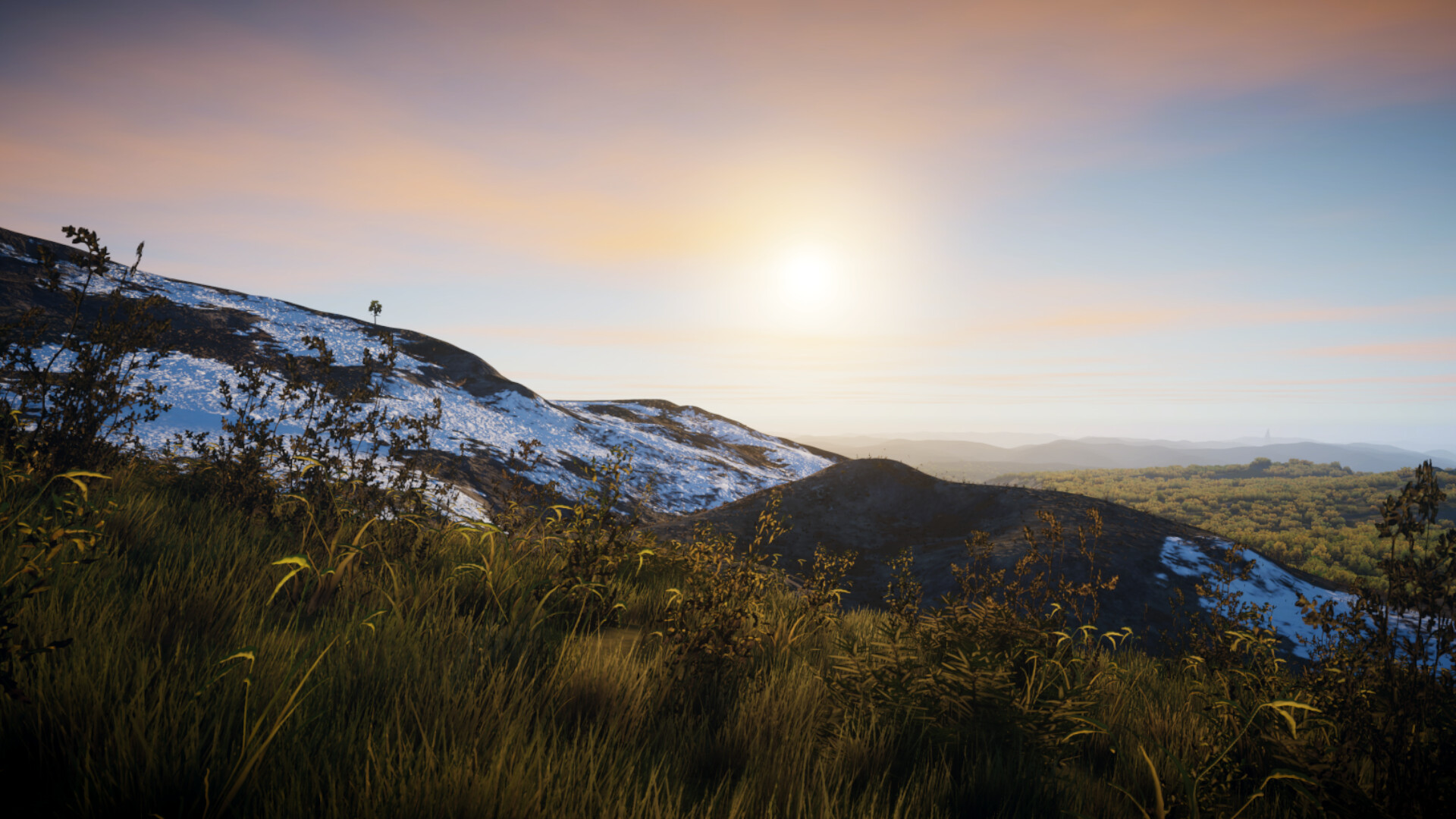 Alterra screenshot 3