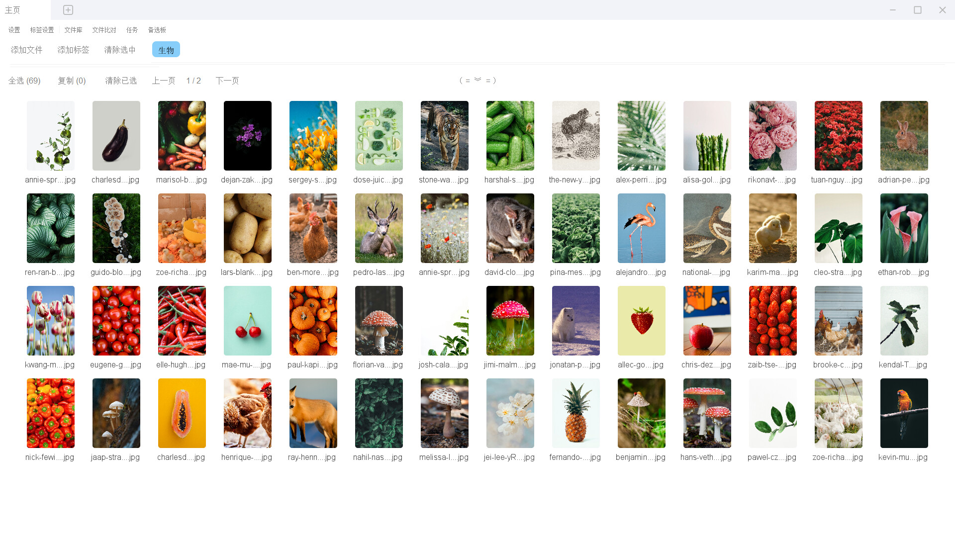File Label CC screenshot 3