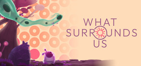 What Surrounds Us
