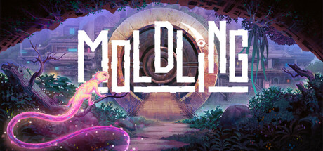 Mold — Steam header