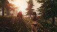 Screenshot #46