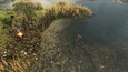 Screenshot 40