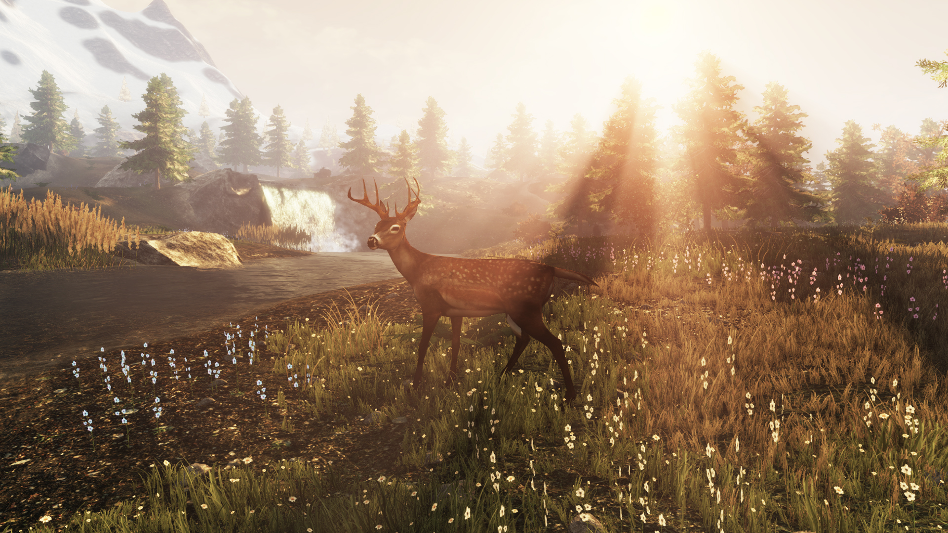 Subsistence screenshot 25
