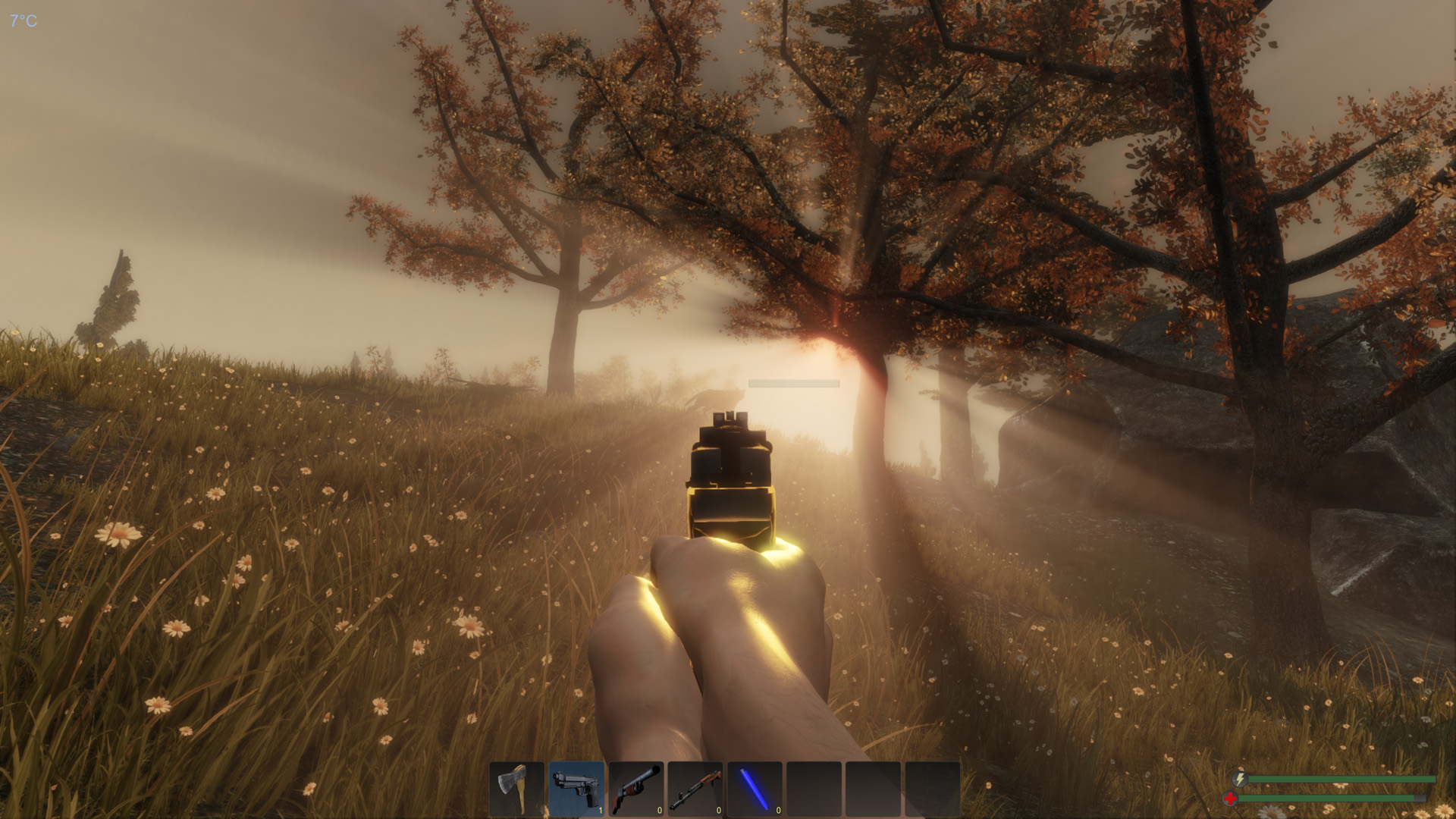 Subsistence screenshot 12