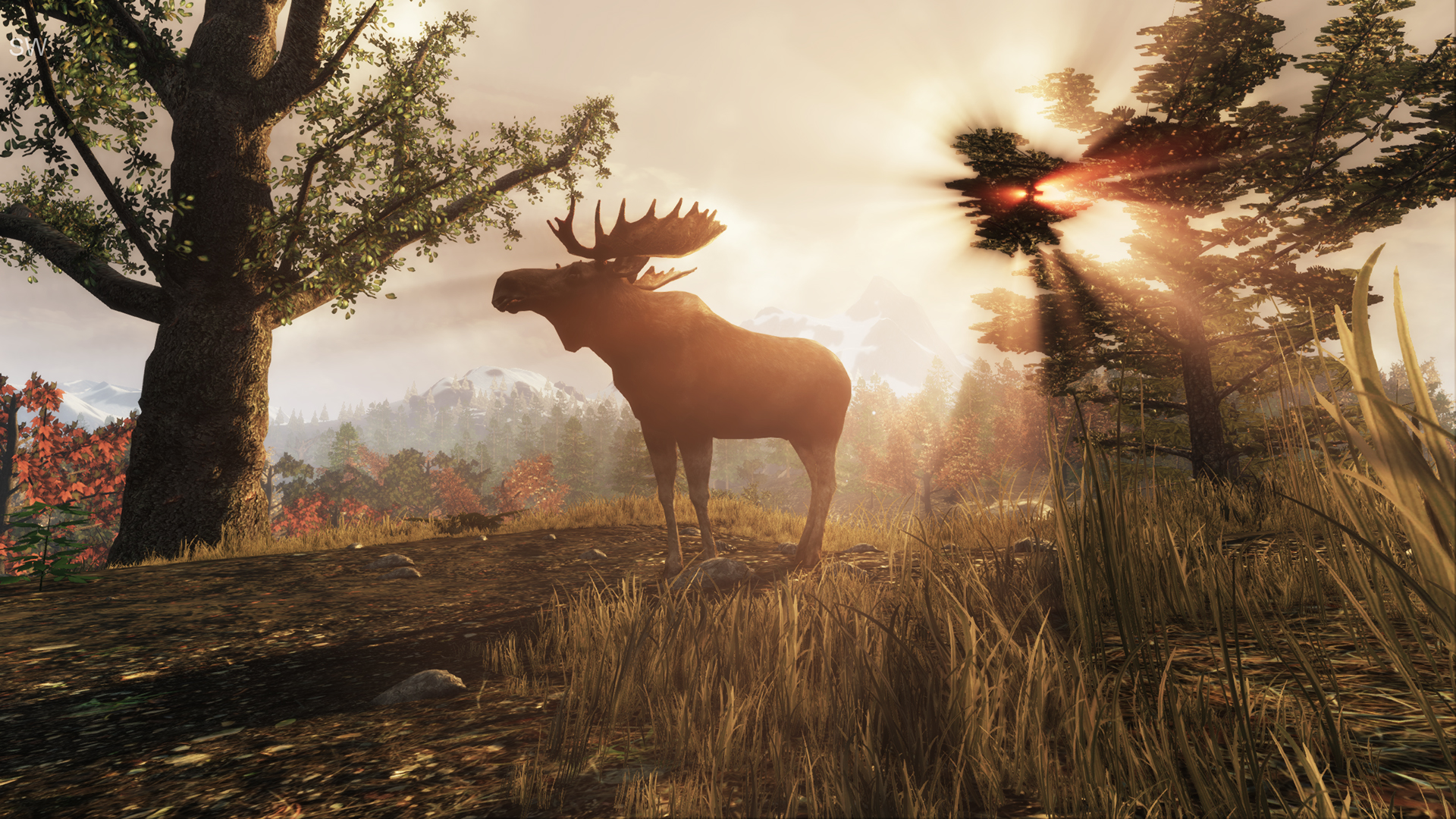Subsistence screenshot 14