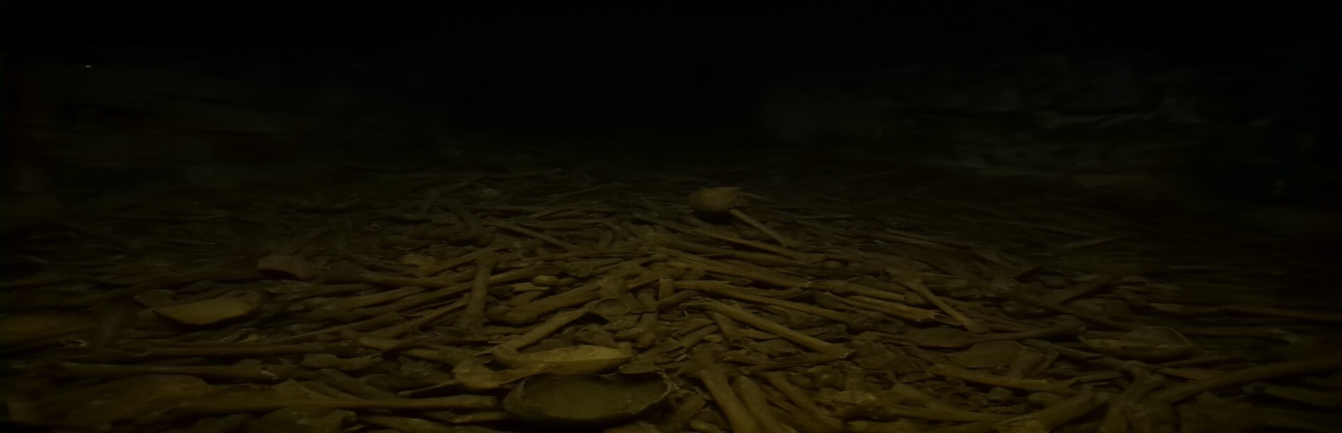 CATAPHILIA