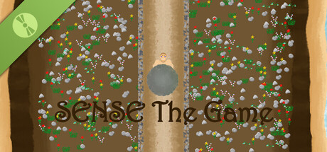 SENSE: The Game Demo