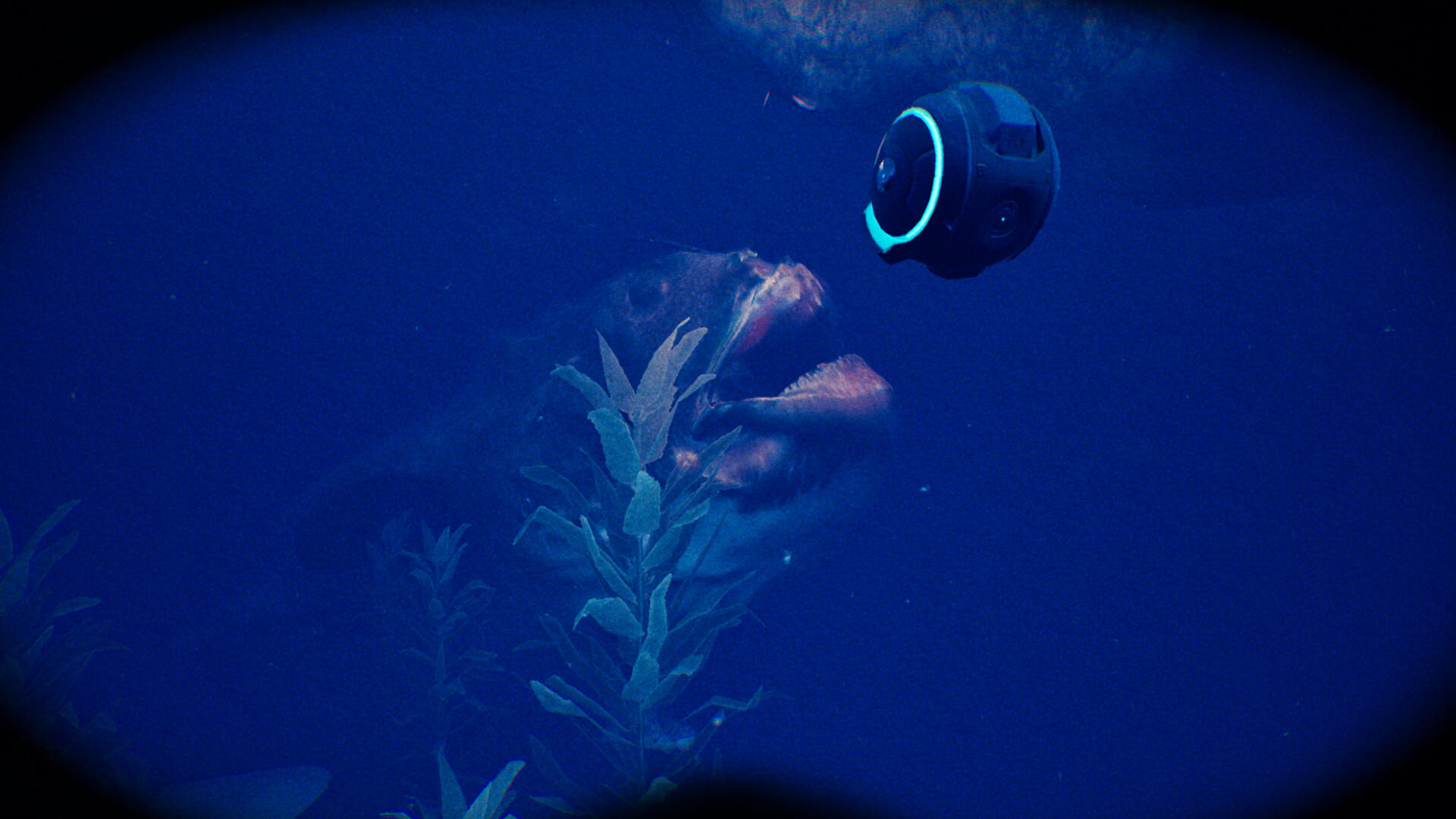Wreck Below screenshot 4