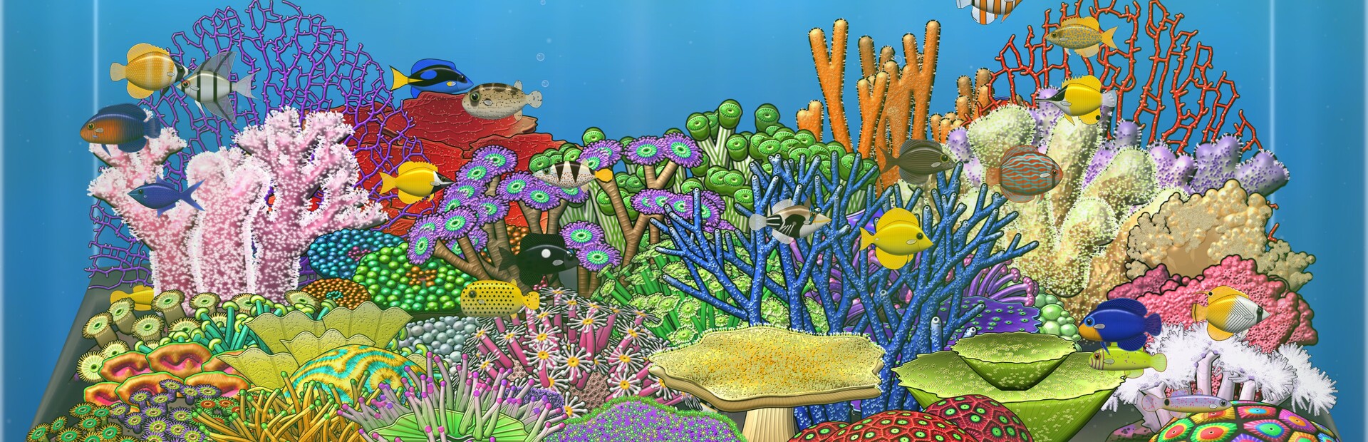 ARC Aquarium