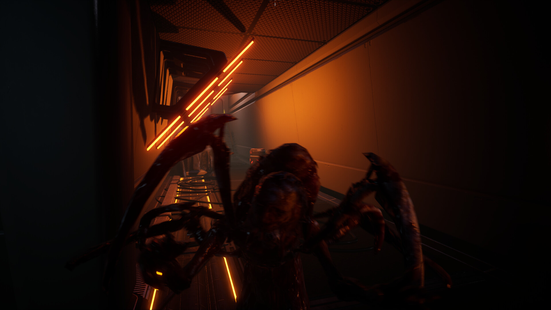 SCICRY screenshot 7
