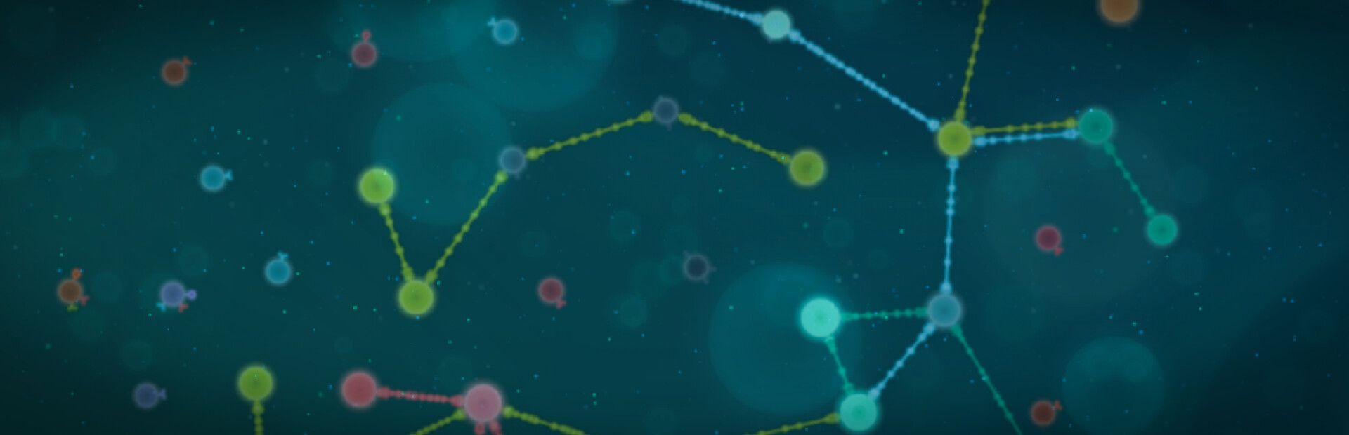 Neuron Connection