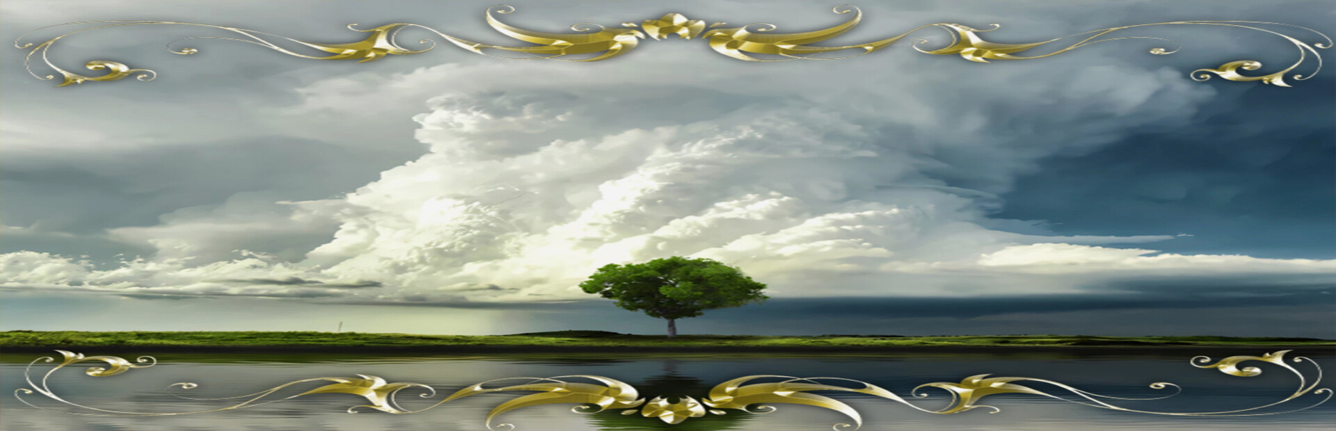 light of Y