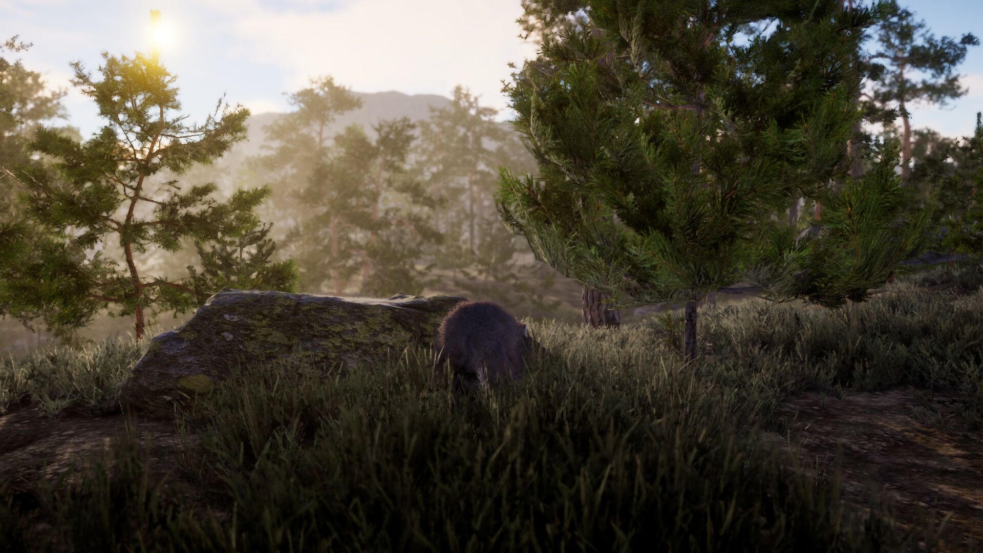 The lost trail screenshot 5