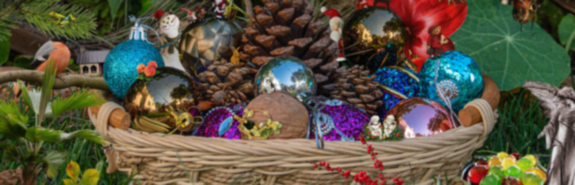 Look and Find - Christmas