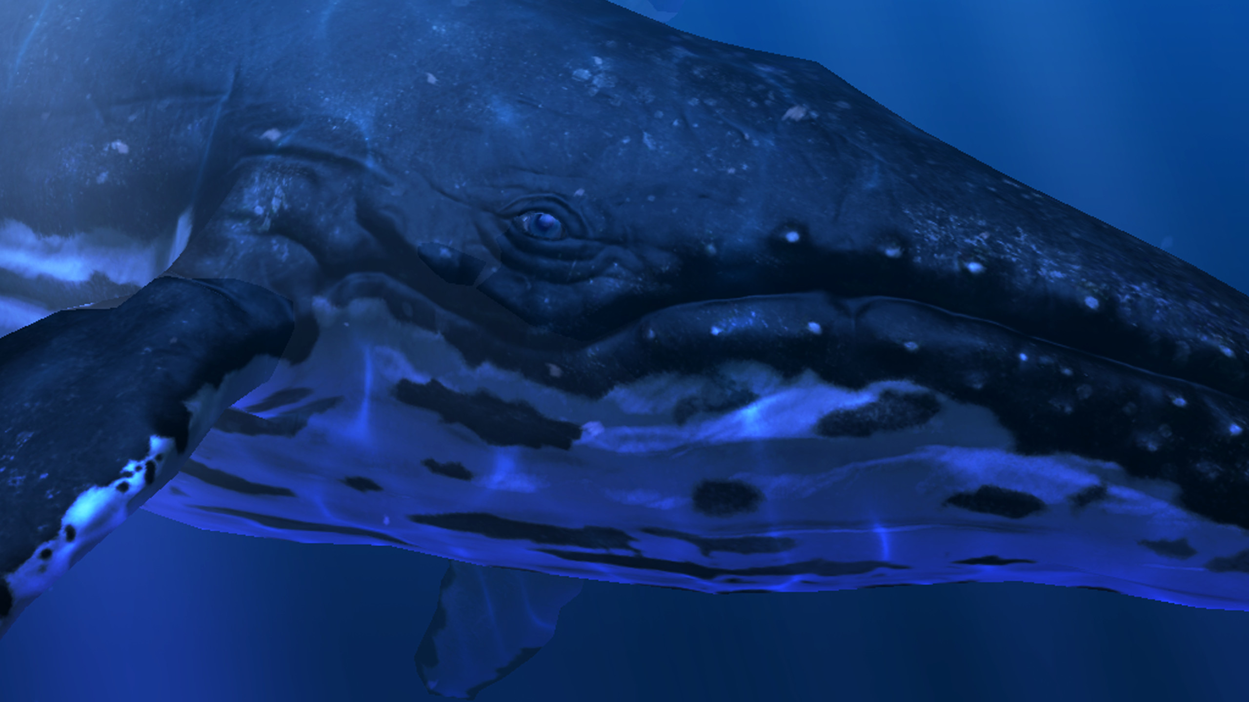 Ocean Rift screenshot 3