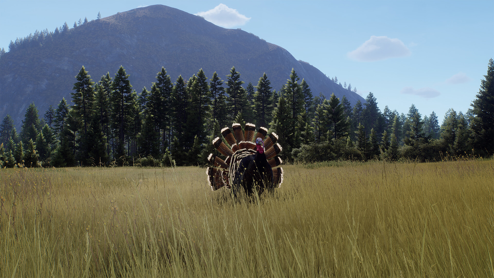 Way of the Hunter - Elkcrest Island screenshot 8