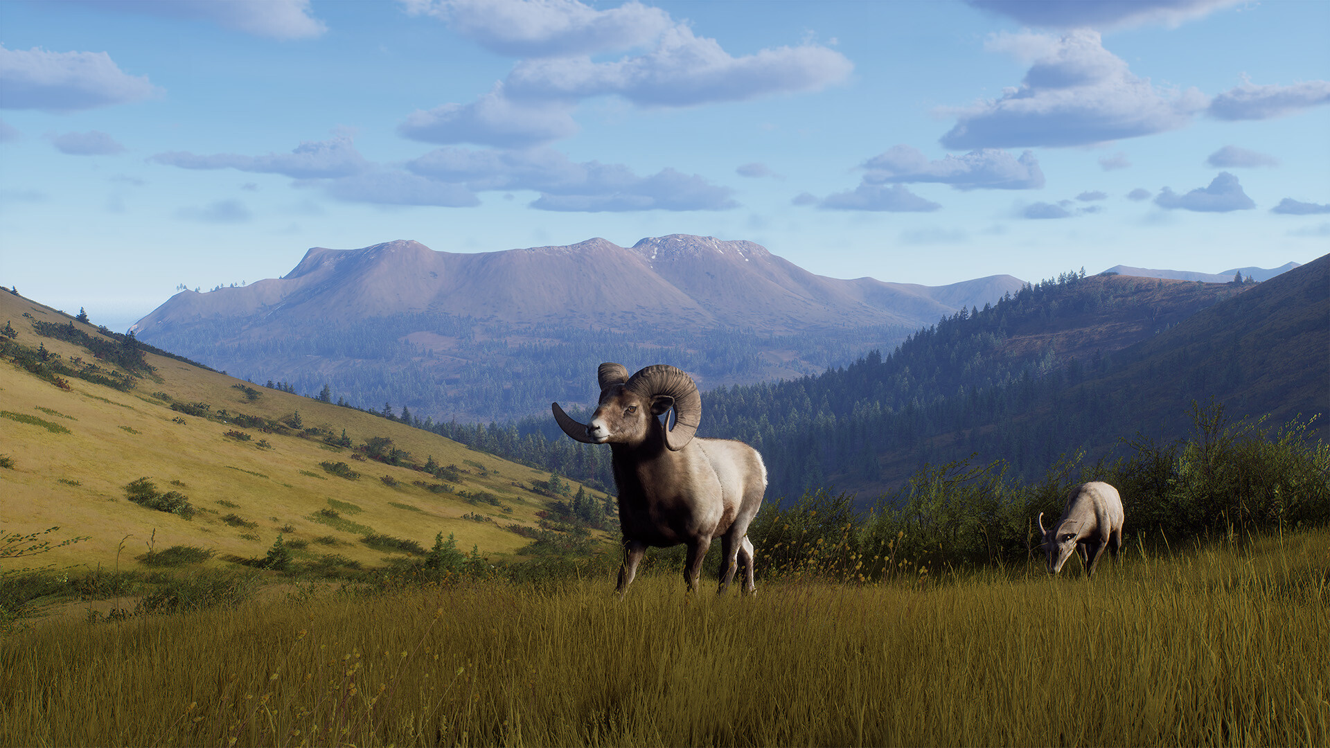Way of the Hunter - Elkcrest Island screenshot 5