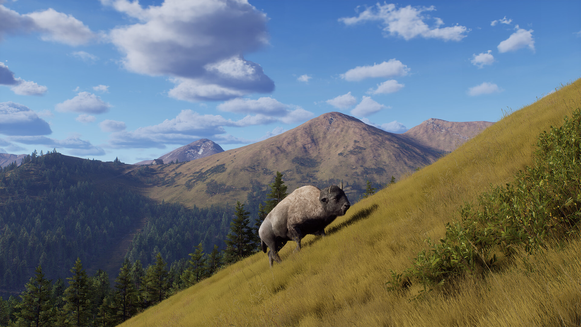 Way of the Hunter - Elkcrest Island screenshot 11