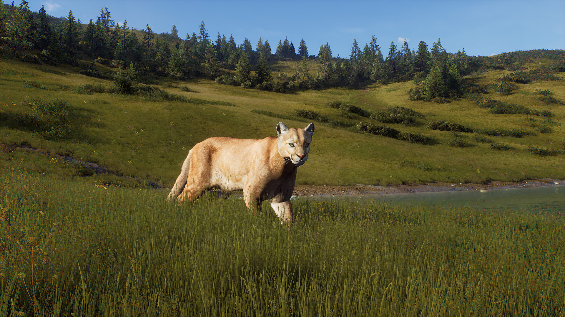 Way of the Hunter - Elkcrest Island screenshot 10