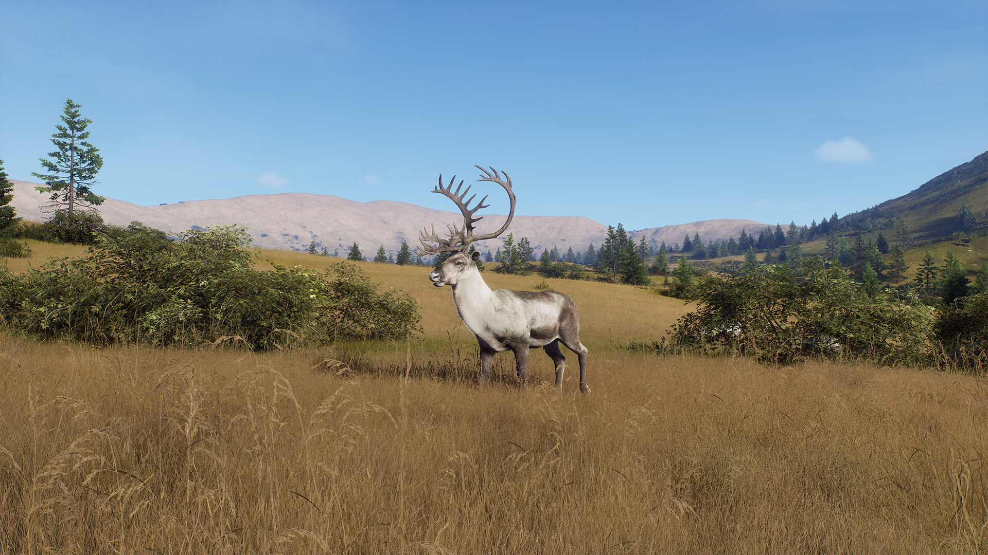 Way of the Hunter - Elkcrest Island screenshot 7