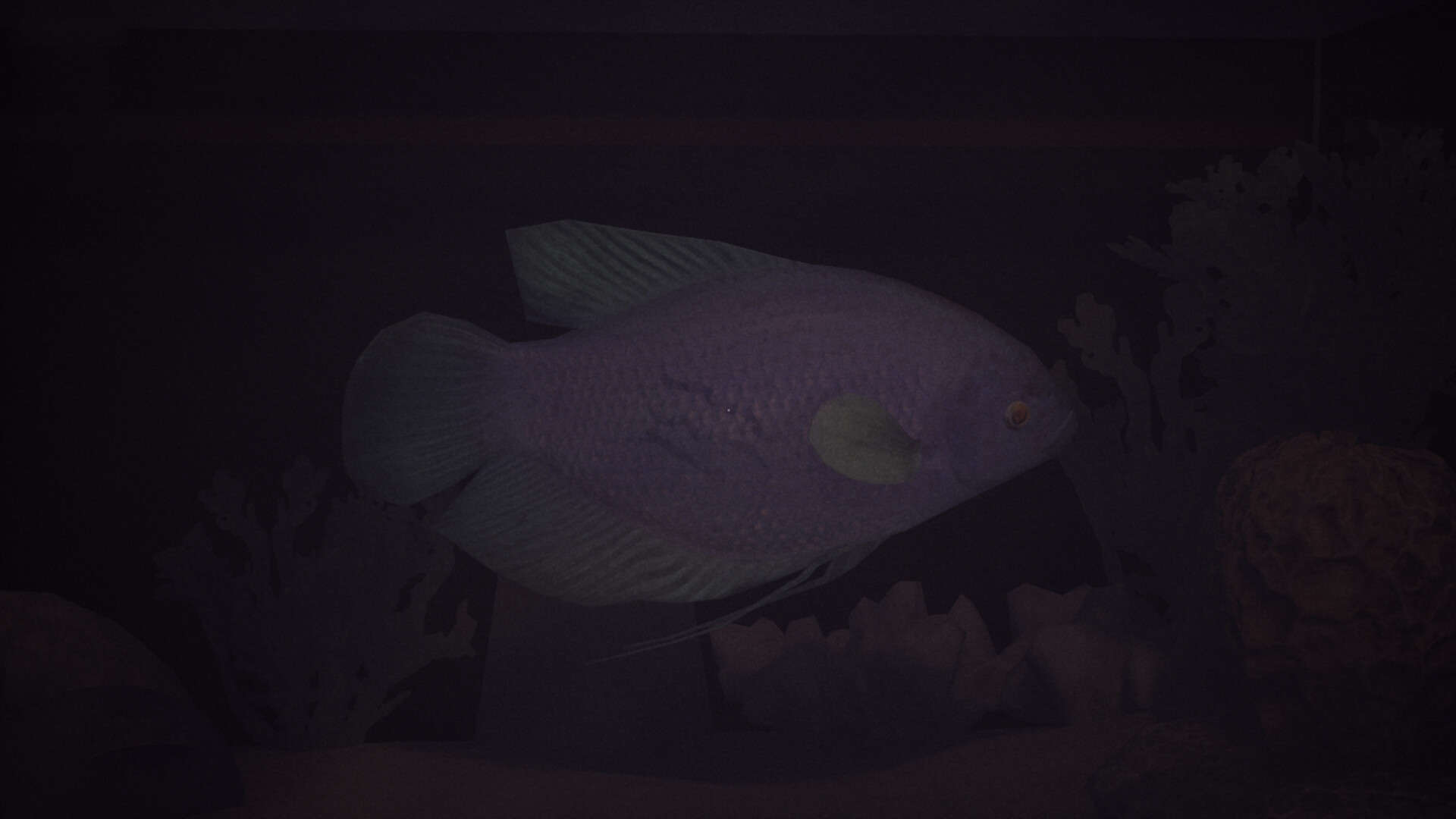 Halu - The Fish screenshot 6