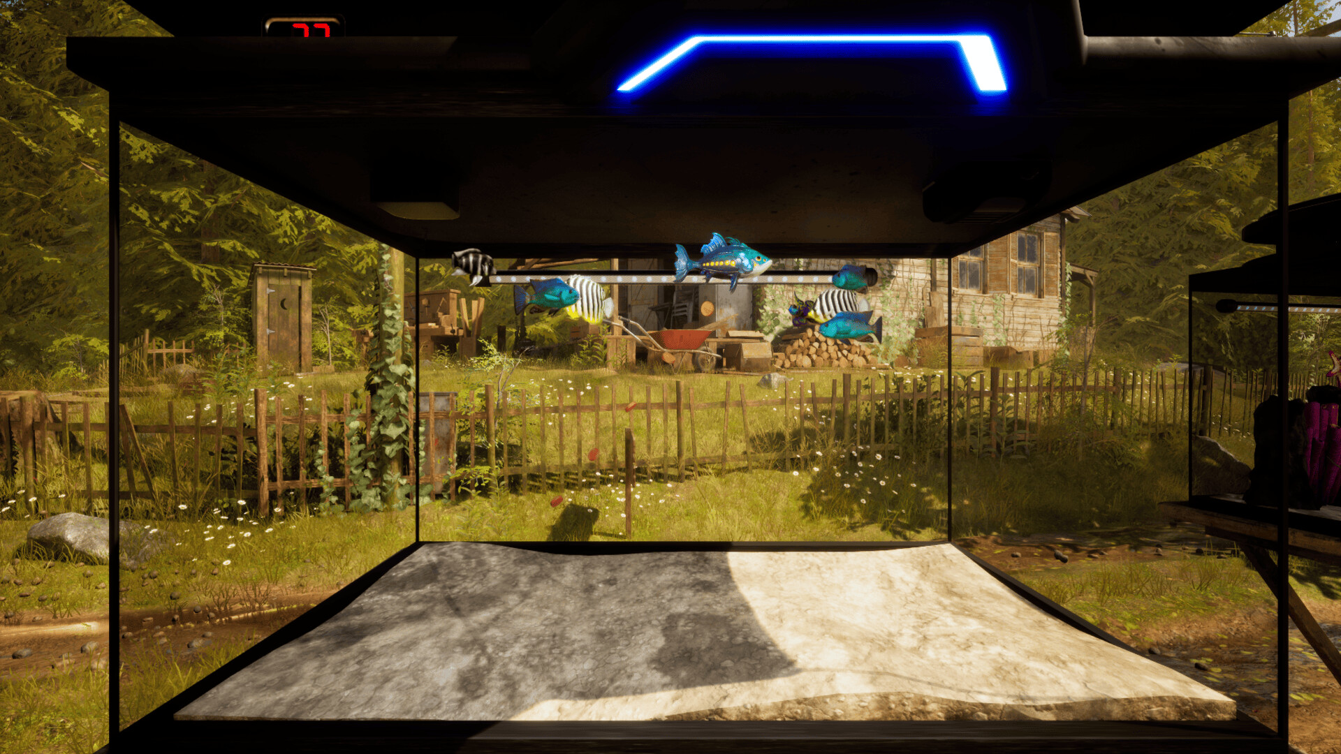 Fish Fortune screenshot 6