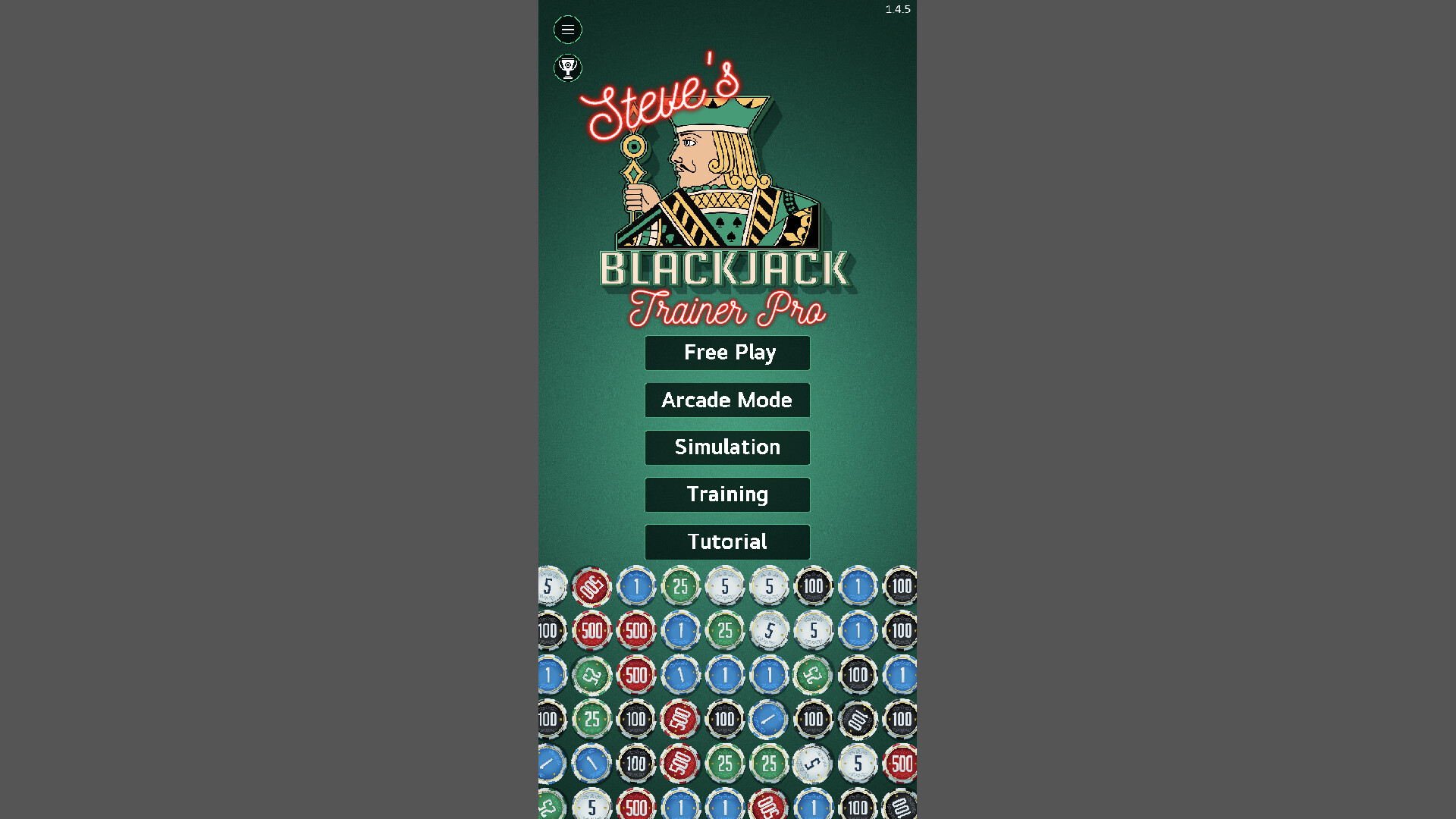 Steve's Blackjack Trainer Pro screenshot 7