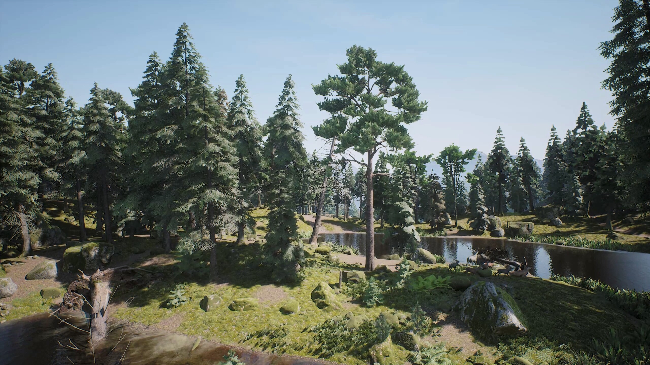 PROJECT HUNT - Trophy Sanctuary screenshot 10