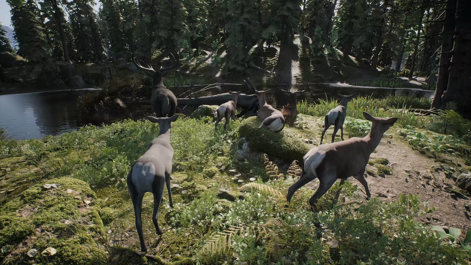 PROJECT HUNT - Trophy Sanctuary