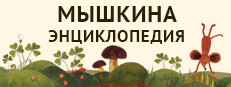 Мышкина Энциклопедия