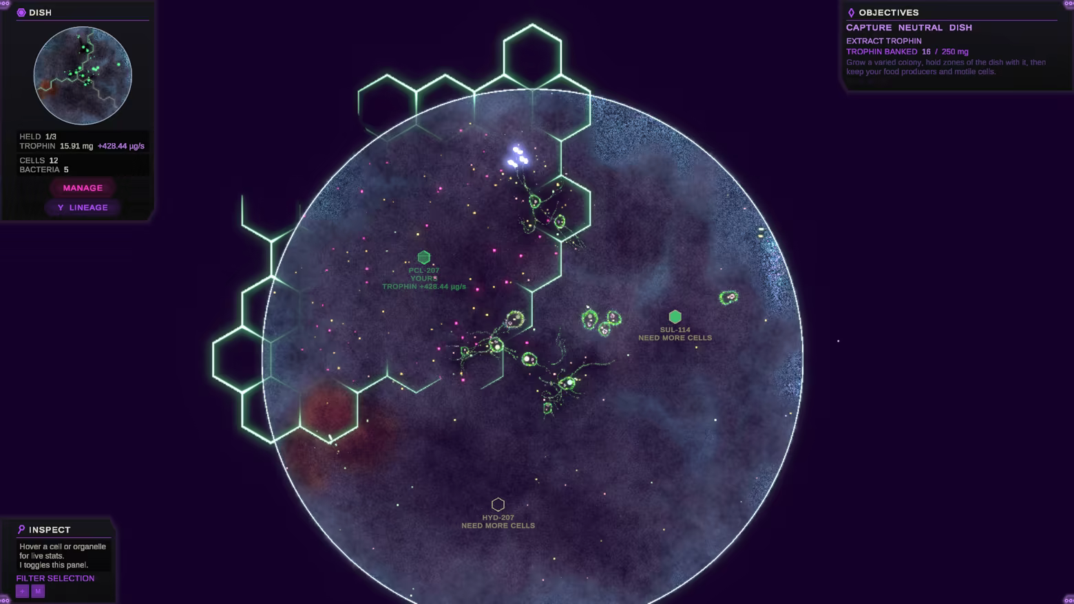 Substrate: Emergence