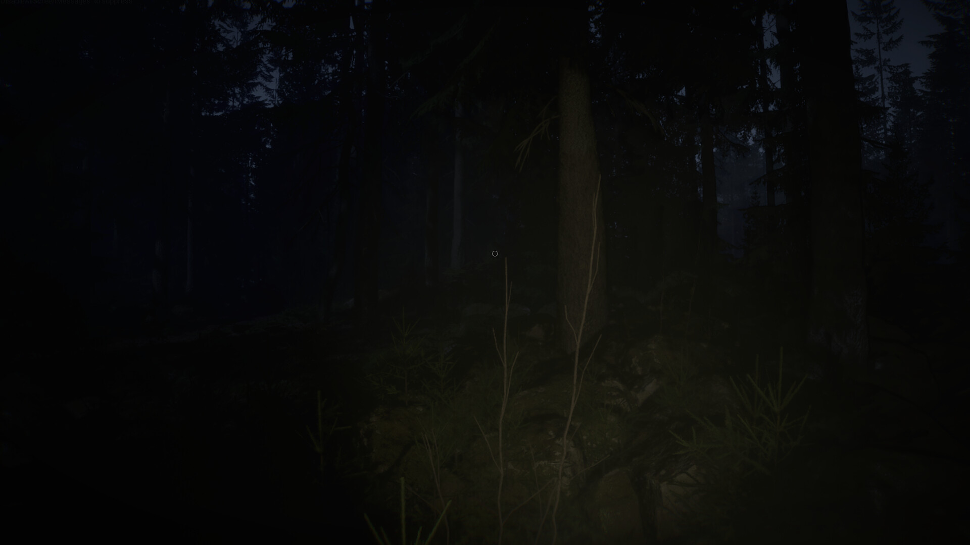 Veylora screenshot 1