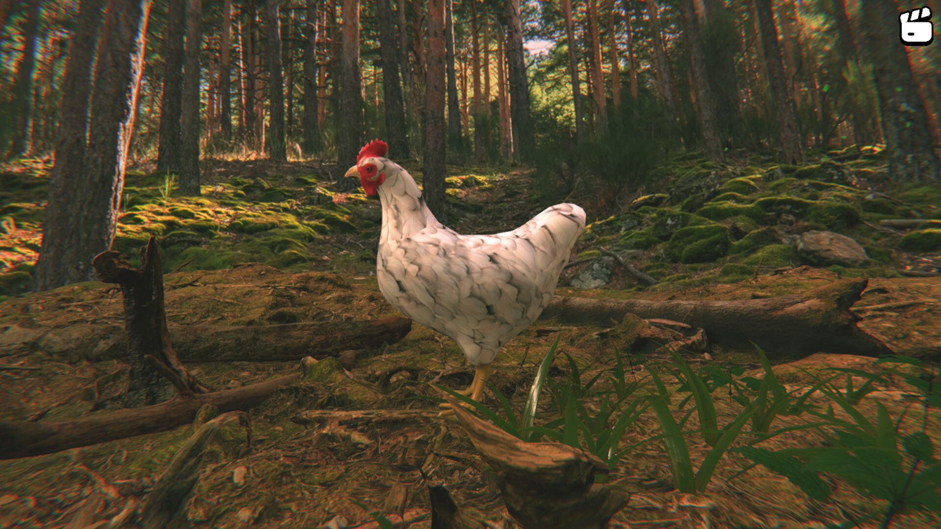 Catch the Chiken screenshot 6