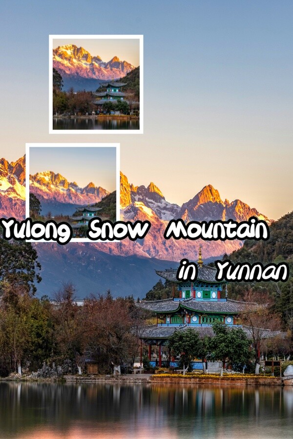 8e5e479f-ade1-7ce3-2507-a8f154c852c3