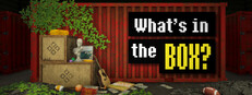 What's in the box? cover art