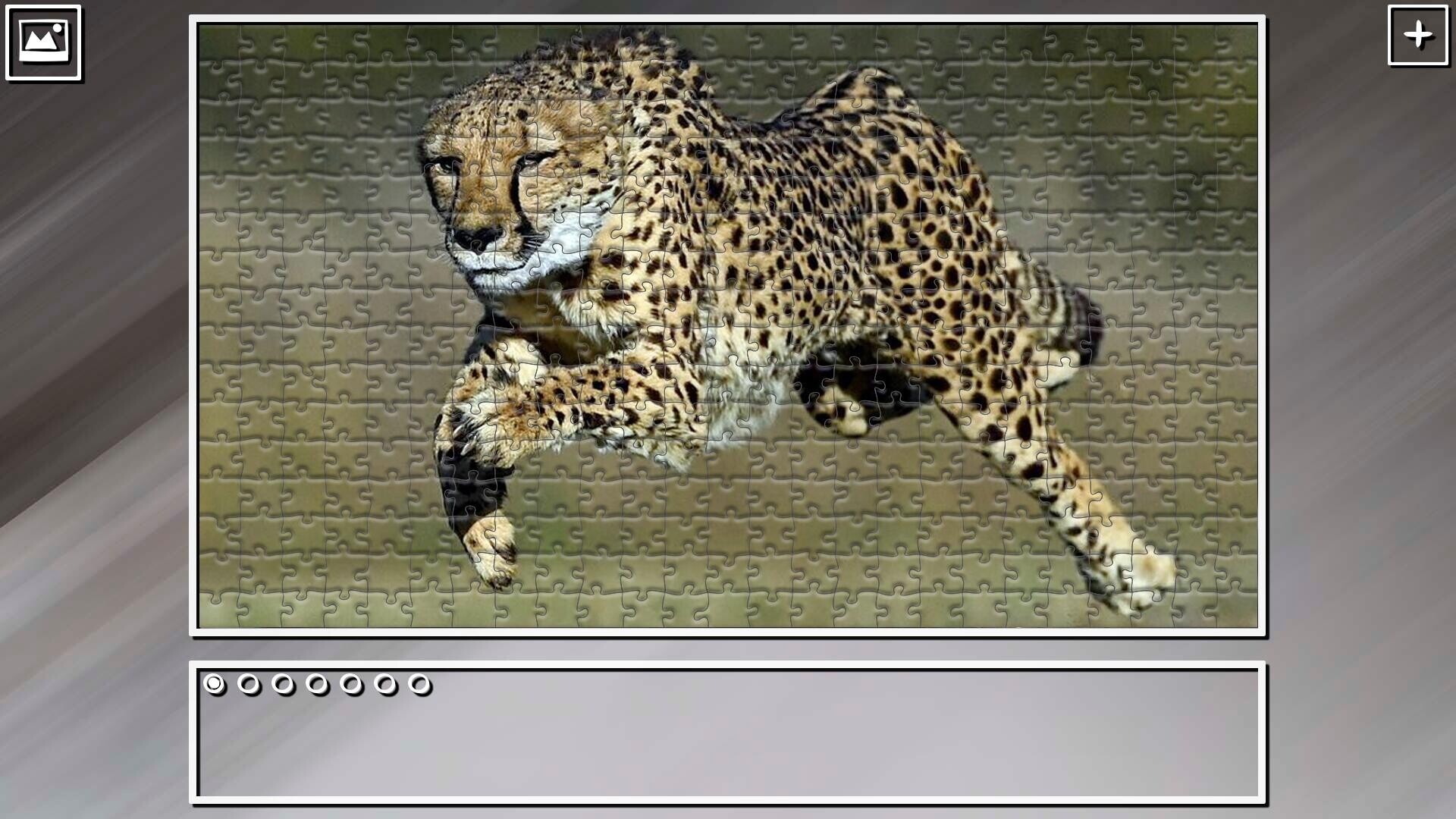 Super Jigsaw Puzzle: Generations - Big Cats 3 screenshot 5